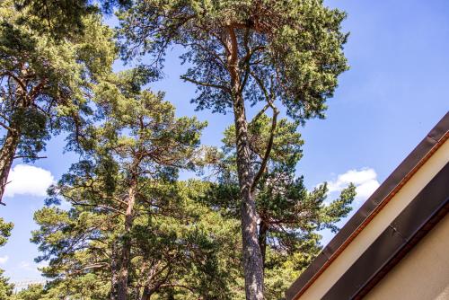 Palanga Park Hotel Tubinas Hotels - image 4