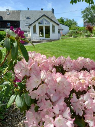 Li p'tite Mohon cottage La Roche-en-Ardenne