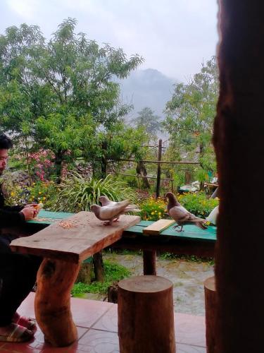Restaurant, H'mong Co Tran Sapa Homestay & Restaurant near Terraced Rice Fields in Shin Chai Village