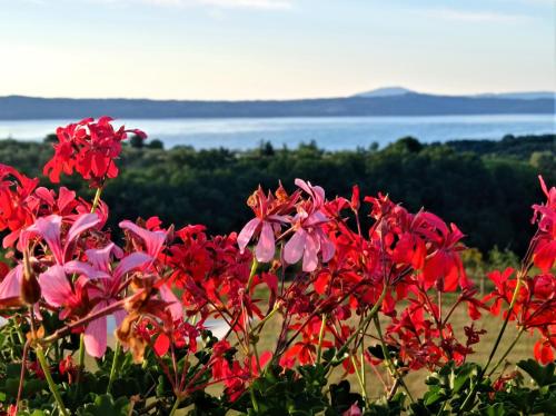 Agriturismo PIAN DEL GRANO lago Bolsena