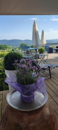 Domaine Le Lanis Chambre d'hôtes piscine spa