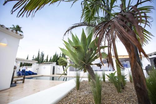 สระว่ายน้ำ, Casa Coline 'the Villa' in มอนต์โก เด โตสกามาร์