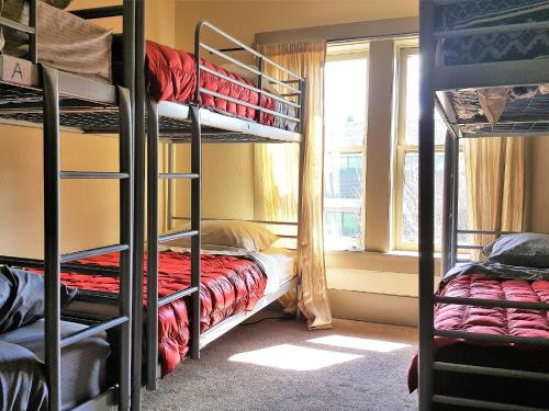 Bed in 6-Bed Mixed Dormitory Room