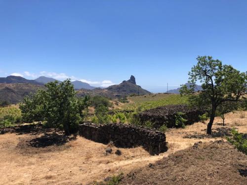 Casa-Finca El Maipéz de Tejeda