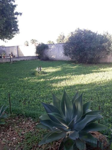 Villa singola a 1300 mt dal mare 5