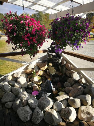 Skoganvarre Villmark - image 2