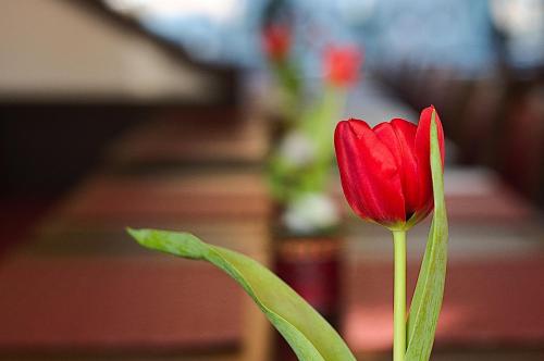 Hotel Wiking - image 14