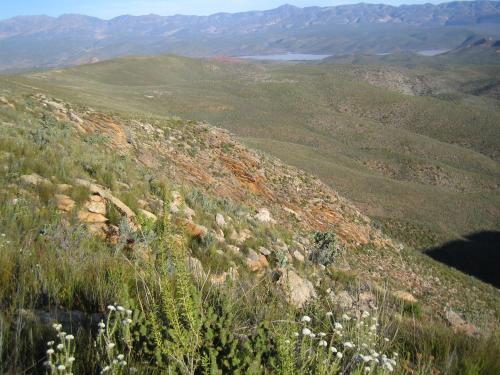 Joel's Off Grid Cottage in the Klein Karoo