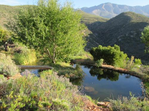 Joel's Off Grid Cottage in the Klein Karoo