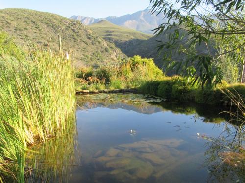 Joel's Off Grid Cottage in the Klein Karoo