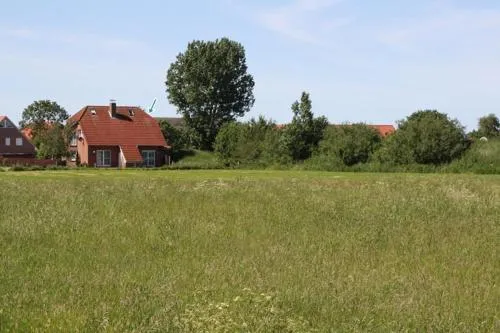 Sandrose in Norddeich, Deutschland