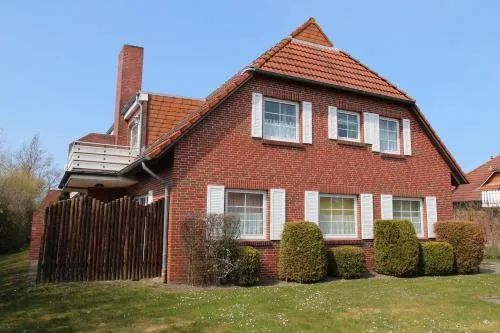 Seeschwalbe in Norddeich, Deutschland