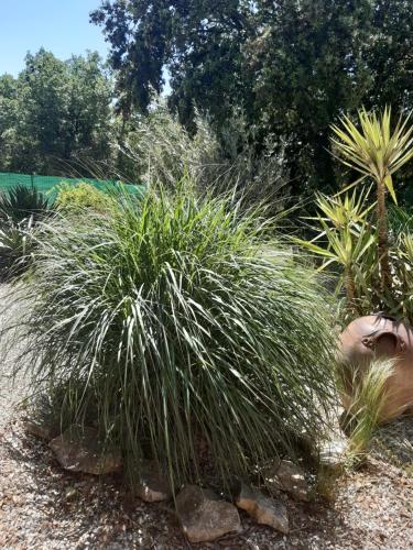 Le calme de la garrigue chambre d'hôte Russan