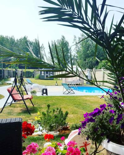 Villa Top House