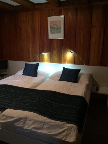Double or Twin Room with Mountain View image 4
