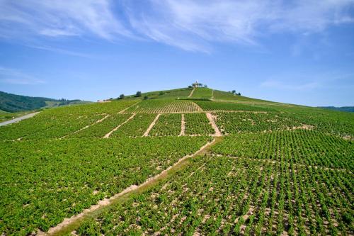 Les Glycines - Domaine Gilles Coperet - image 7