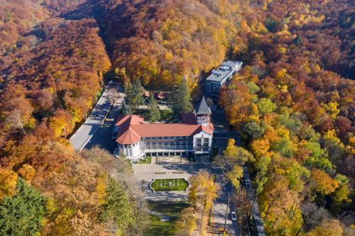 Verkhovyna Resort Medical & Wellness - Hotel - Kamenitsa