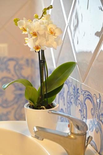 Piazza Lauro Suites - Tap to explore photos