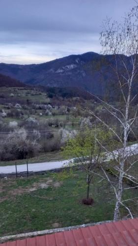 Surrounding environment, Хотел Варненци in Asenovgrad