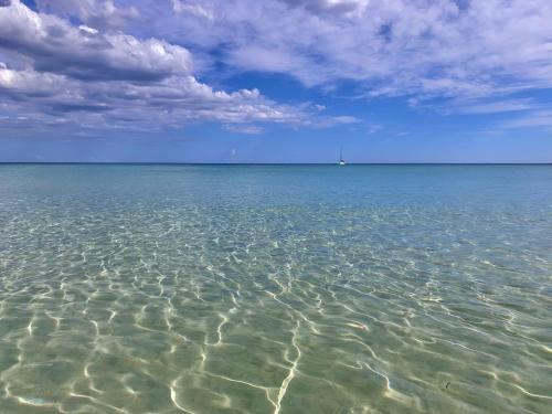 At the Seacily At the Seacily