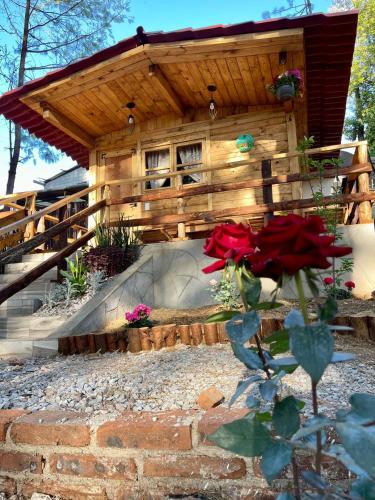 El descanso casa-hotel zacatlán. (El descanso casa-hotel zacatlan.) in Eloxochitlán