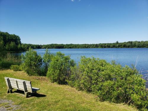Simply Stunning 4BD House Among Lakes with Gameroom & Sauna in Pocono Summit, USA