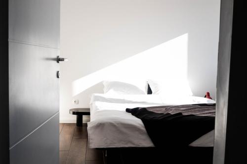 Stargazer's Haven - image 2