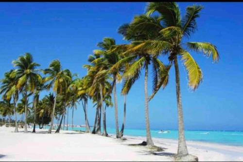 Espectacular Apartamento En Tanama Cap Cana