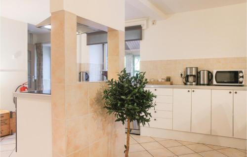 Vakantiewoning 4 - image 6