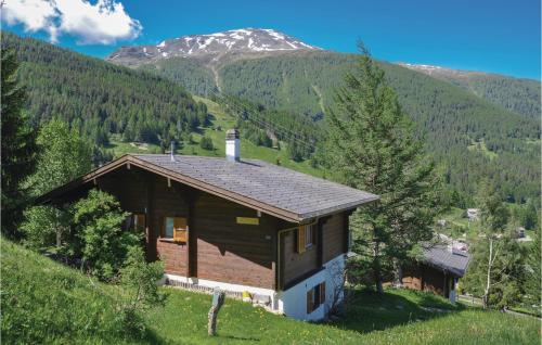 Chalet Audyn - Bürchen