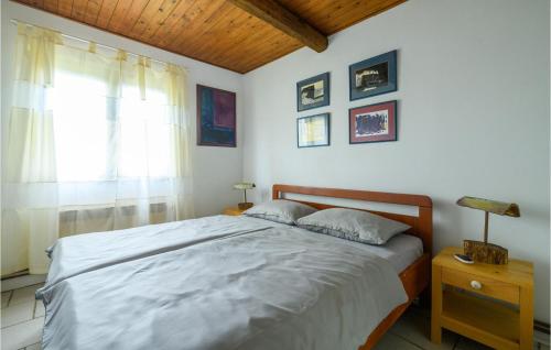 Beautiful Home In Segotici With Wifi