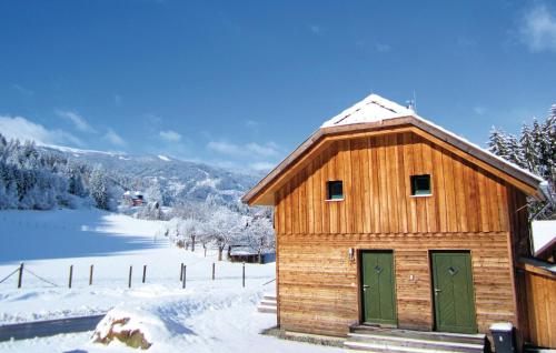  Stunning Home In St, Georgen Kreischberg With 4 Bedrooms And Wifi in Sankt Lorenzen ob Murau