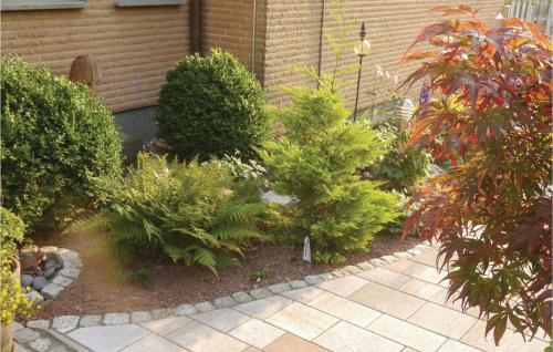 Studio Apartment in Schieder-Schwalenberg - image 13