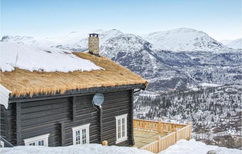 . Stunning Home In Hemsedal With House Sea View