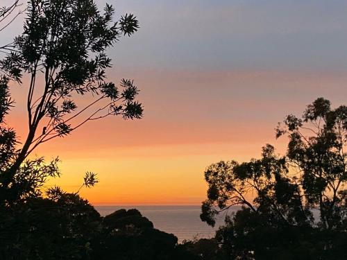 Vacation Mode, Lorne (fotografie 4)
