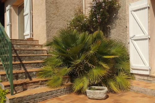 3-bedroom house with view near Malpasset Dam