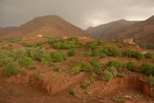 Riad Lorsya - image 3
