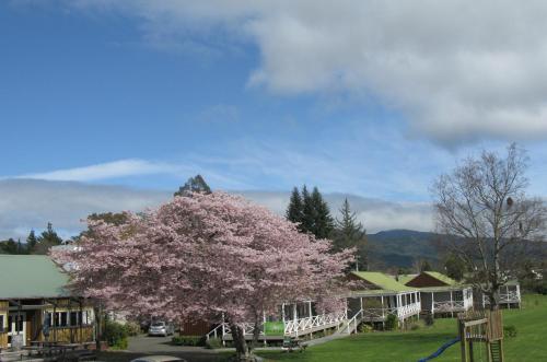 Turangi Bridge Motel - Accommodation - Turangi