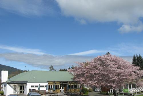 Turangi Bridge Motel