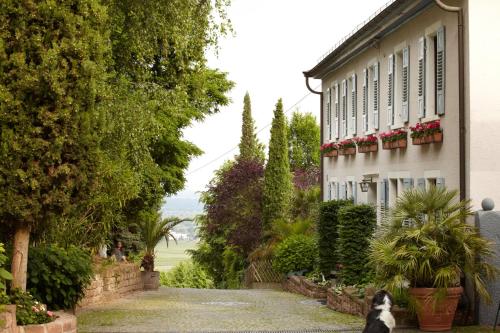 Restorāns, Sankt Annagut in Burrweiler