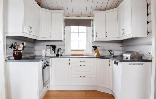 Kitchen, Sjusjøen Setergrend 4730 in Sjusjoen