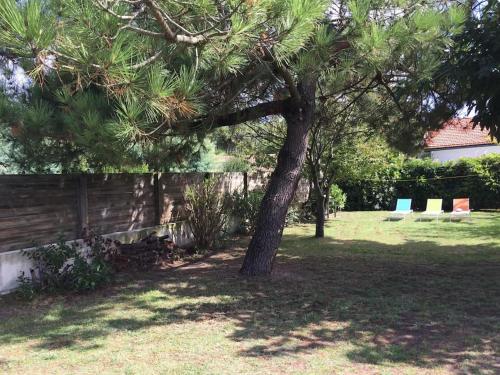 VILLA LES ZINES - CAP FERRET (Jetée Bélisaire) gîte à louer Bélisaire