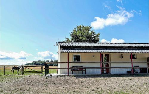 Das Zechenhaus - Apartment - Dankerode