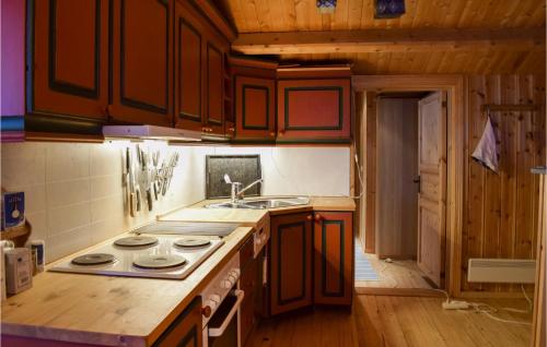 кухня, 3 Bedroom Nice Home In Venabygd in Рынгебу