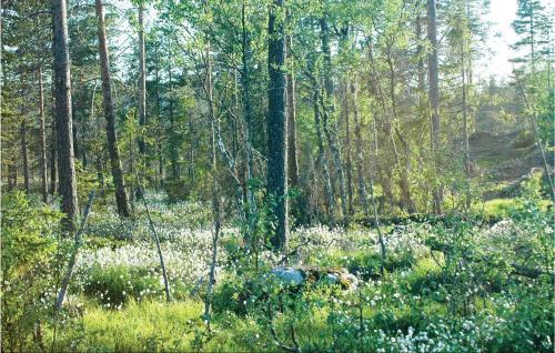 Facilities, Beautiful Apartment In Sysslebck With Kitchen in Syssleback