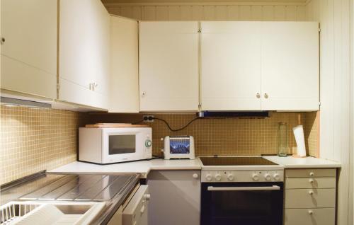 Kitchen, Awesome Apartment In Stathelle With 2 Bedrooms, Sauna And Wifi in Langesund
