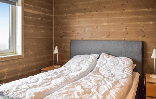 Gorgeous Home In Sjusjøen With Wifi in Sjusjoen