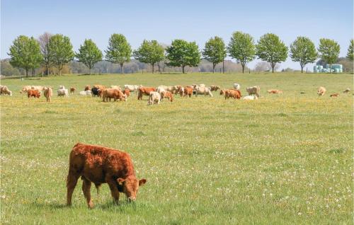 Fischerdorf Zirchow - image 6