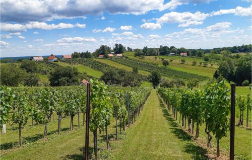 外部景觀, Ferienhaus Im Suedburgenland in 居興
