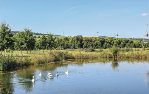 Beautiful Home In Riol An Der Mosel With Kitchen